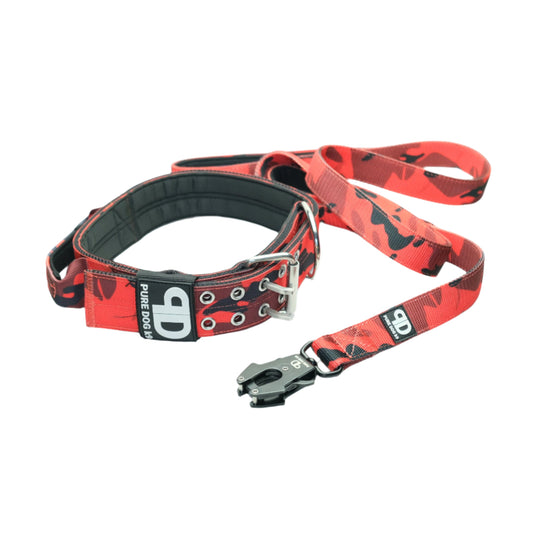 5cm Sport Collar and Lead Set